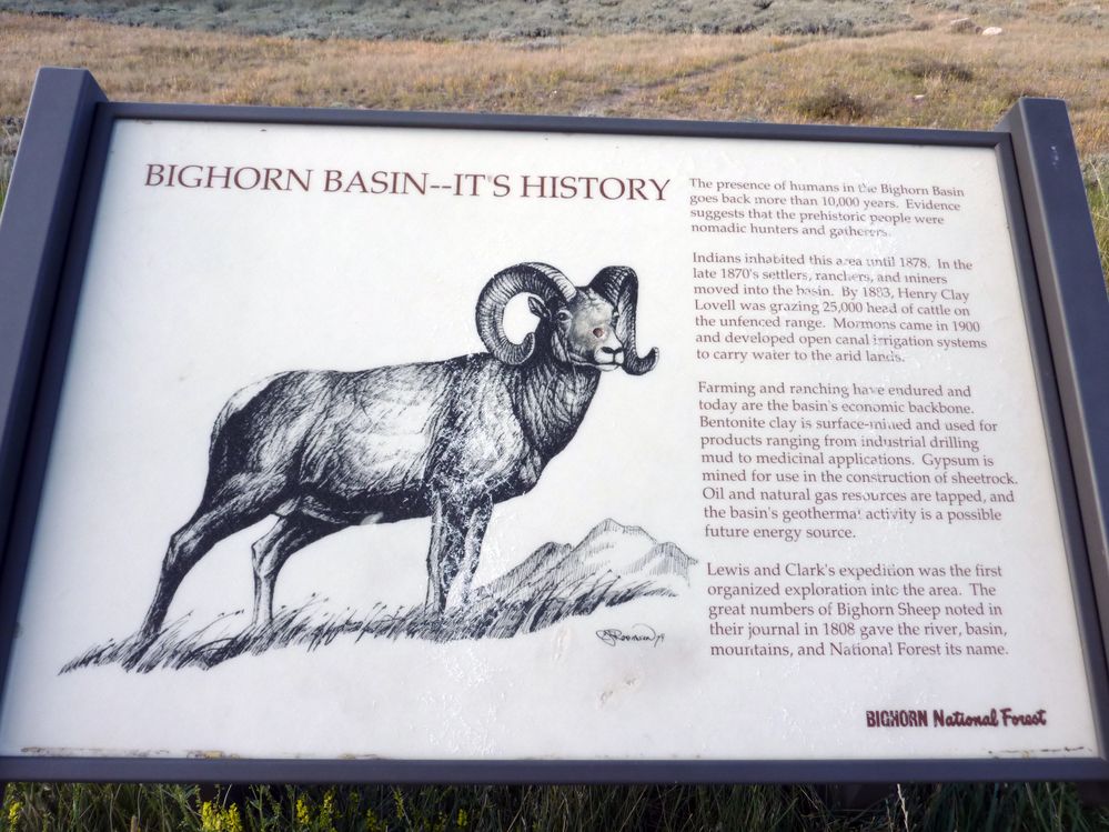 Big horn N.P_04.JPG